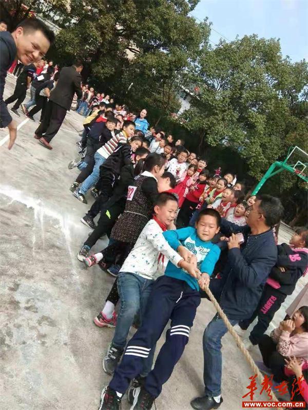 星空体育APP网站