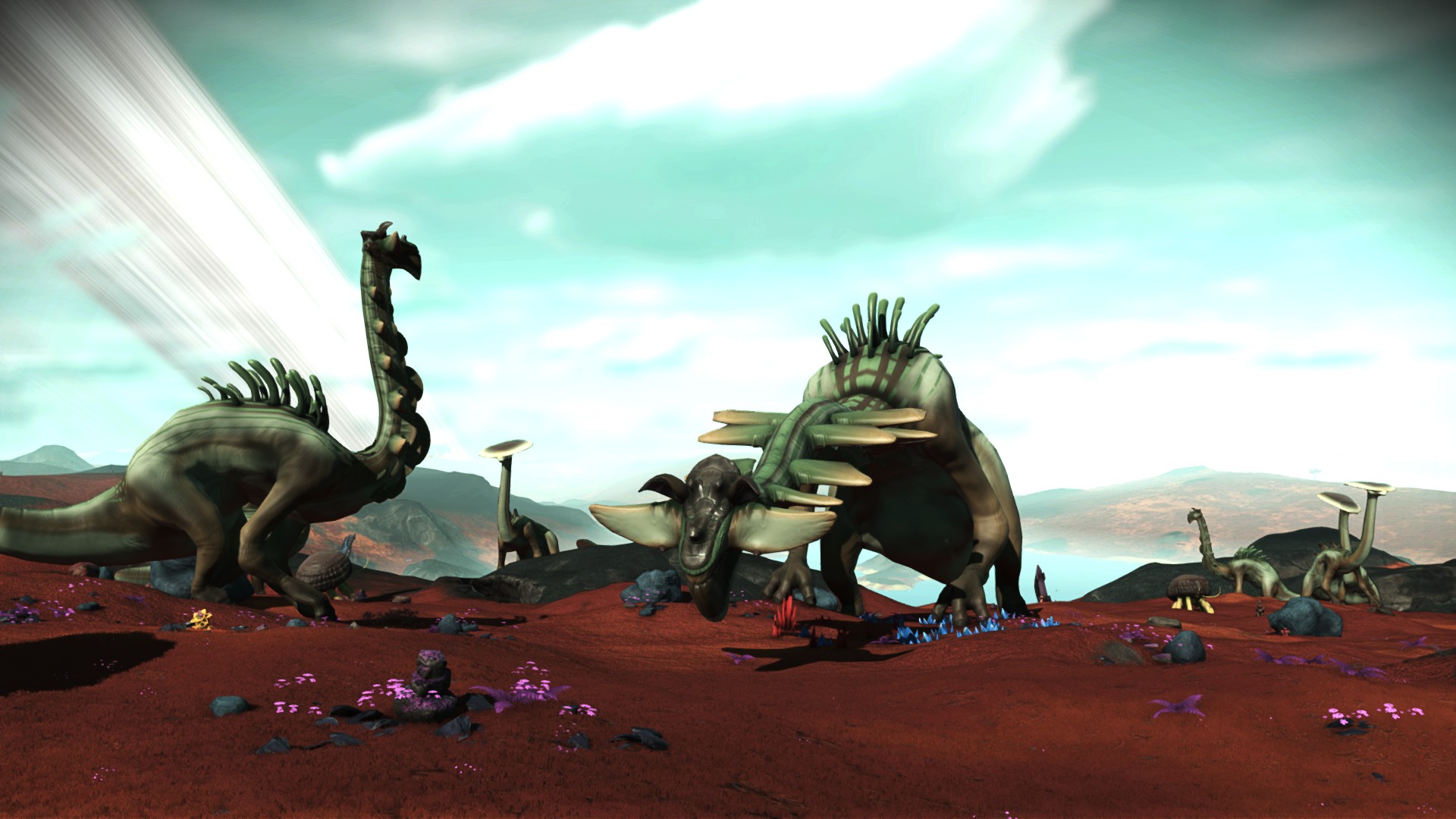 星空体育APP网站