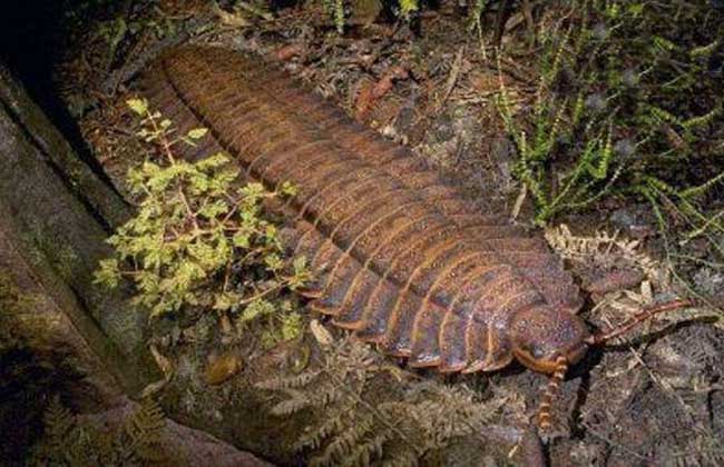 星空体育app下载