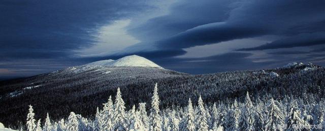 星空体育app下载