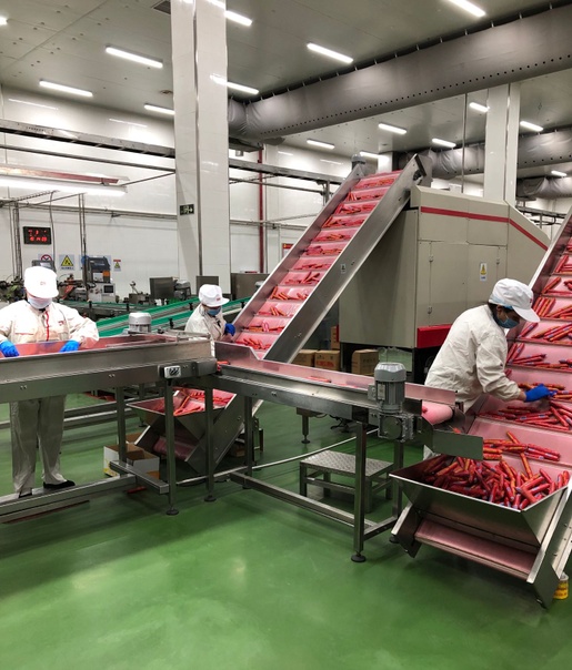 星空体育APP网站