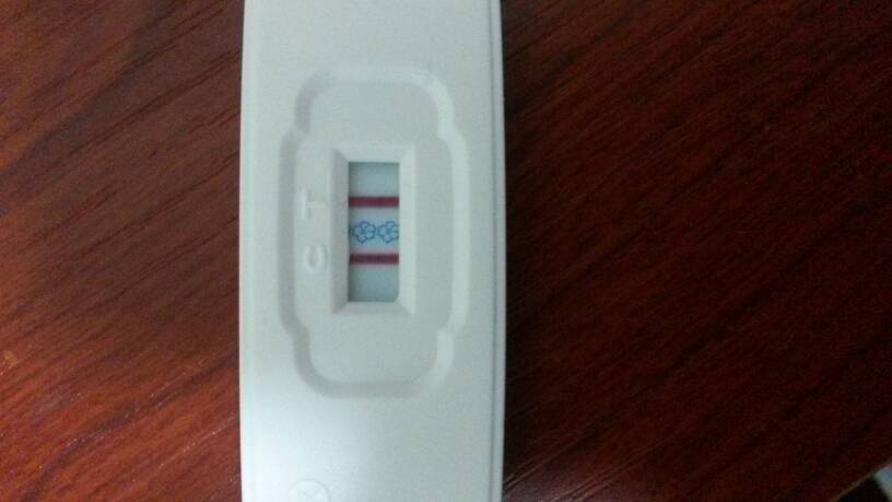 星空体育app下载