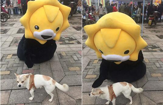 星空体育APP网站