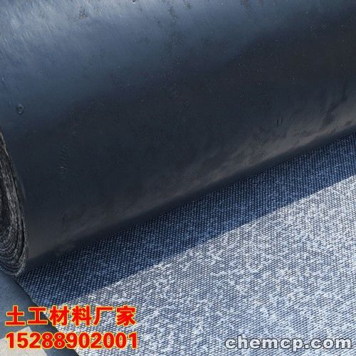 出动云梯车 路桥119宣传月仪式600人参加-星空体育app下载(图2) 星空体育APP