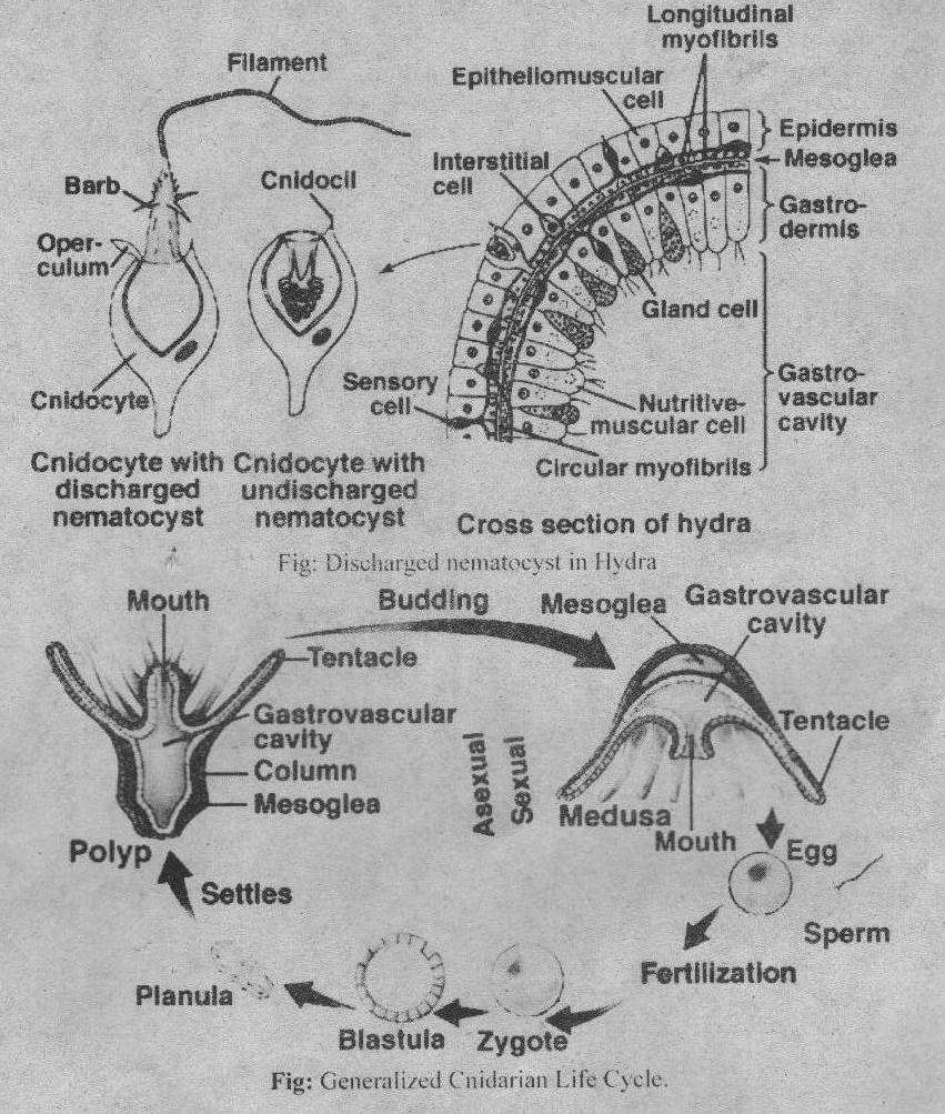 星空体育app下载