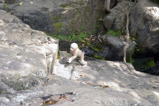 星空体育app下载