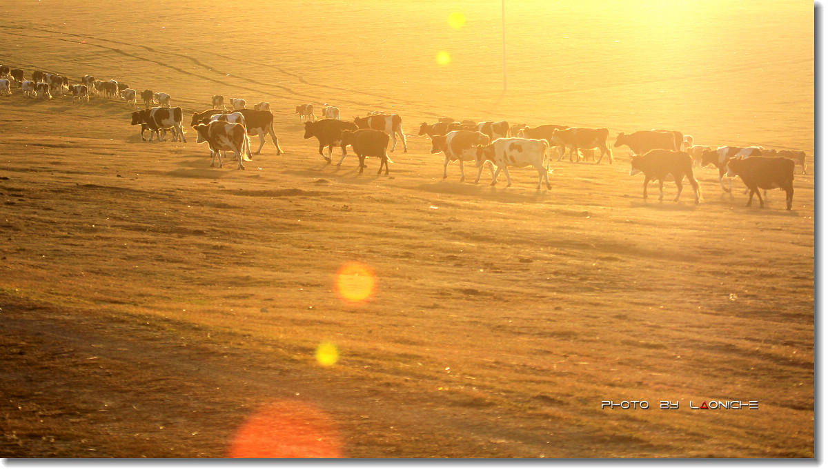 星空体育app下载