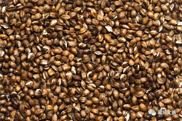 星空体育APP网站