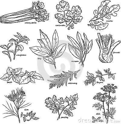 星空体育APP网站