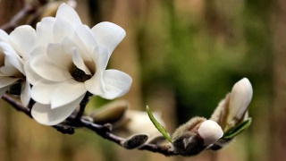 “星空体育APP”中超又一个赛季结束
恒大铸就“八冠”大业(图2) 星空体育app下载