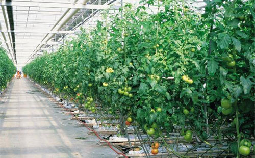 星空体育APP网站