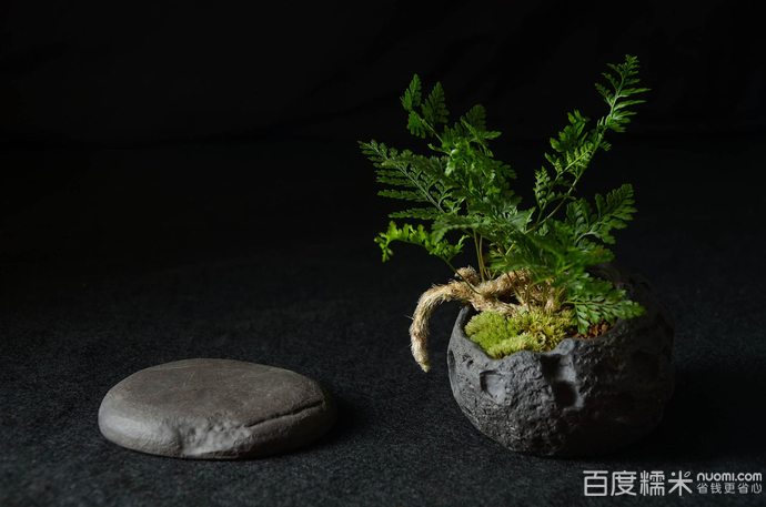 蓝洞发起百日行动计划力求提升游戏体验:星空体育APP(图3) 星空体育APP