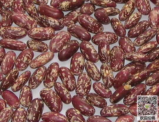 星空体育app下载