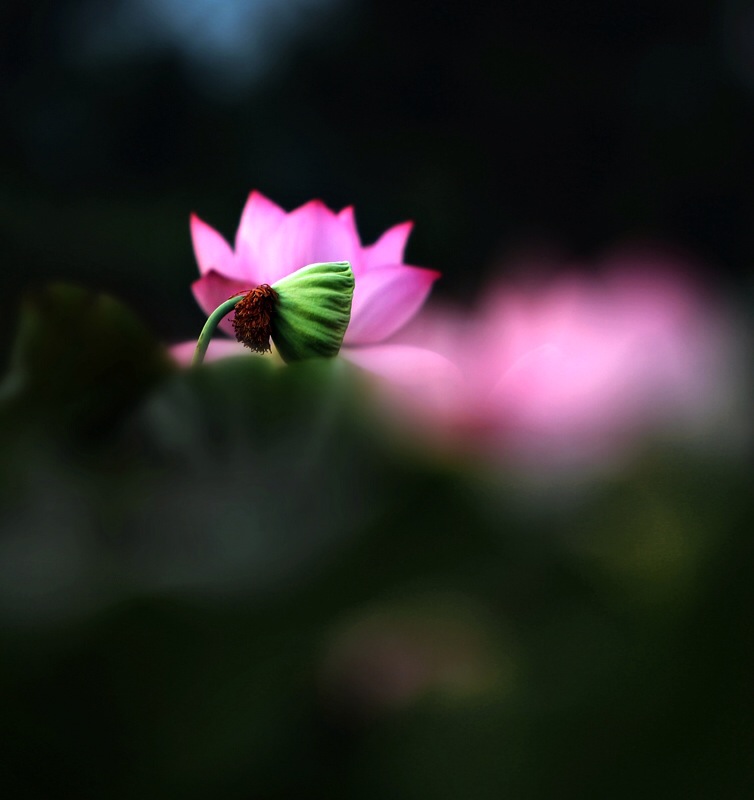 星空体育APP网站