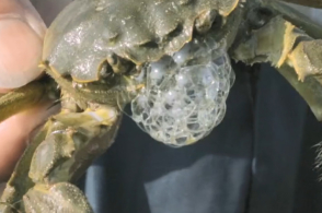 星空体育app下载