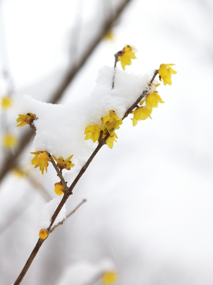 星空体育app下载