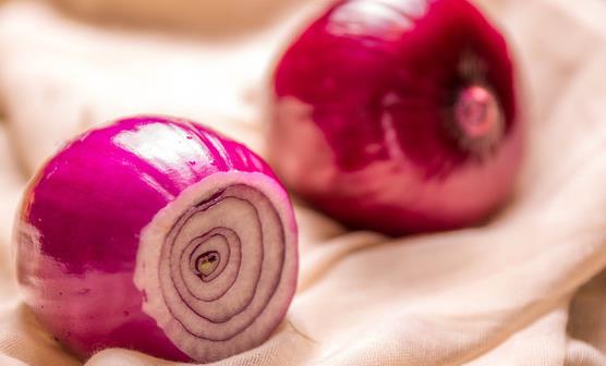 星空体育app下载