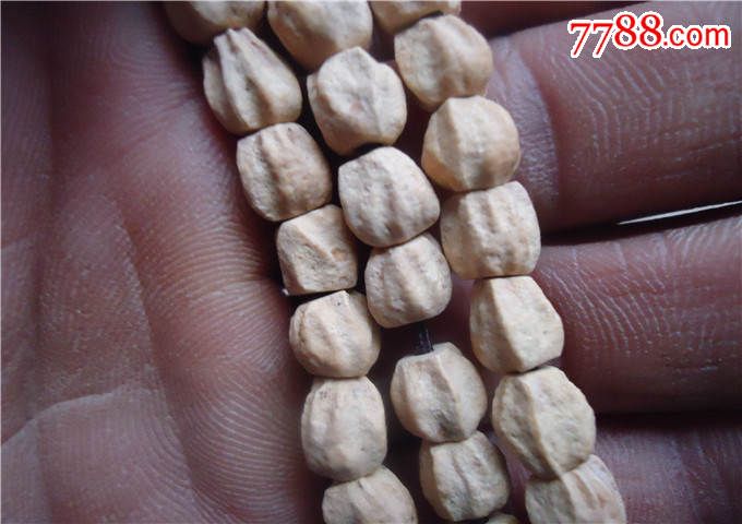 星空体育app下载