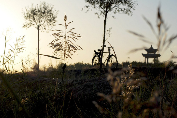 星空体育app下载