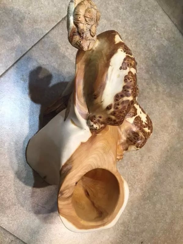 星空体育APP网站