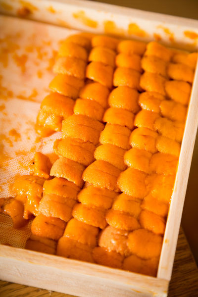 星空体育APP网站