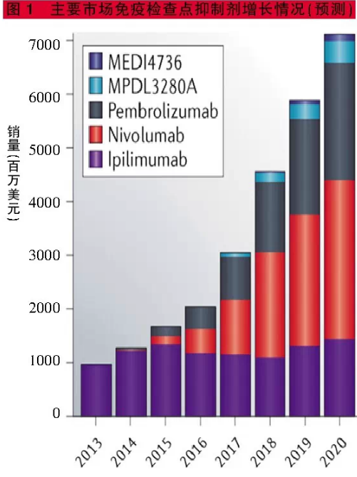 星空体育APP网站