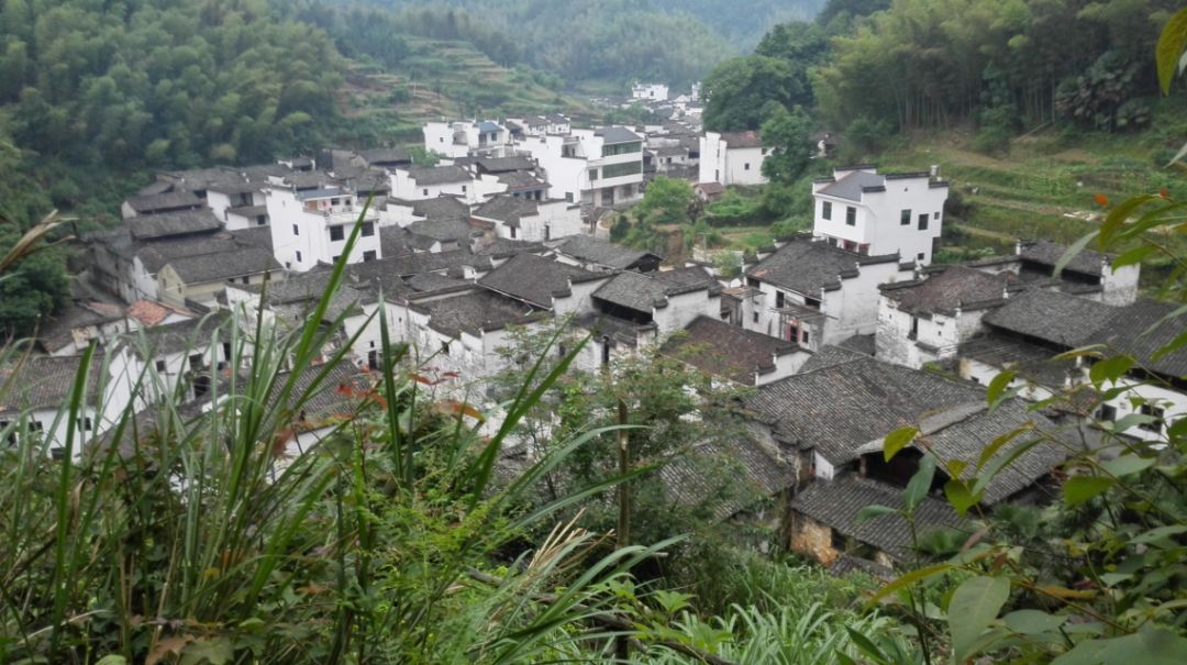 星空体育APP网站