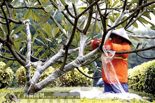 星空体育app下载