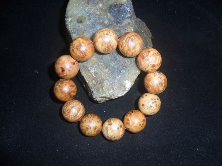 星空体育app下载|
泰珂洛TungTurnJet高压内冷系列扩充新的刀杆和刀柄(图6) 星空体育app下载