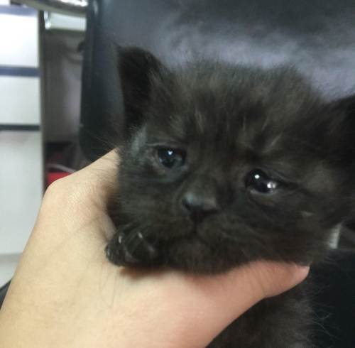 星空体育app下载