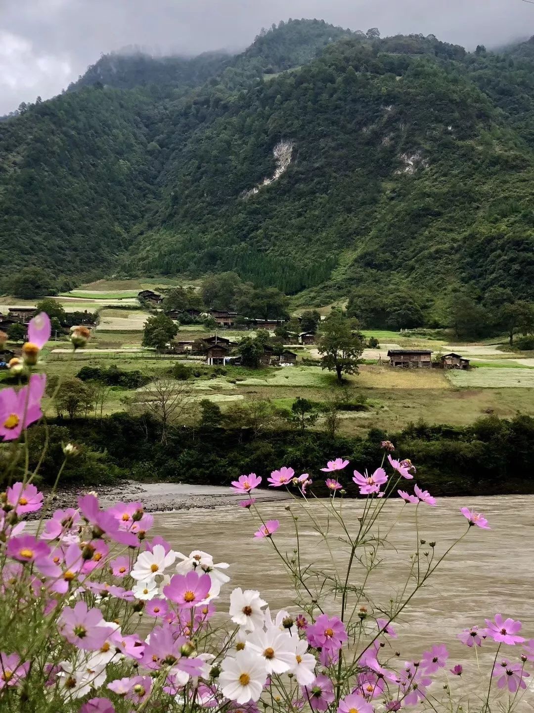 星空体育APP网站