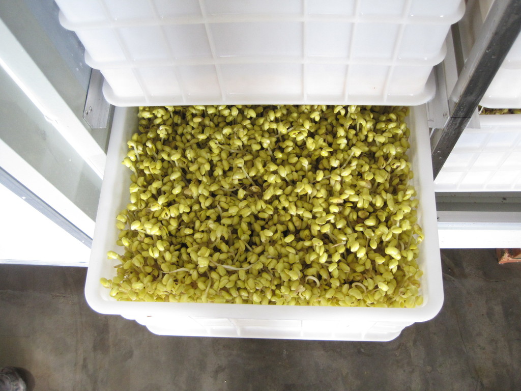 星空体育app下载