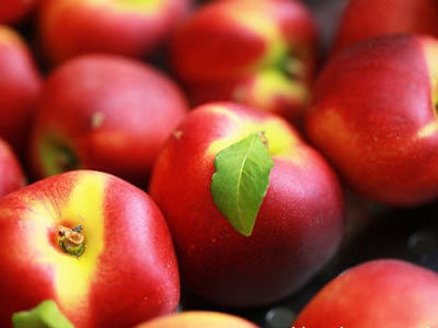 星空体育app下载