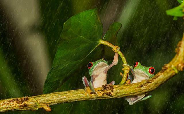 星空体育app下载